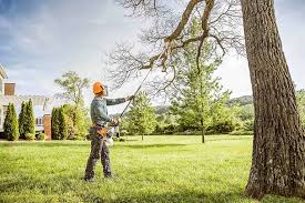 Best Tree Trimming and Pruning  in Hewitt, TX