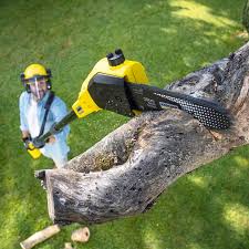 Best Commercial Tree Services  in Hewitt, TX